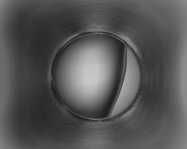 X0000089880885200706281048