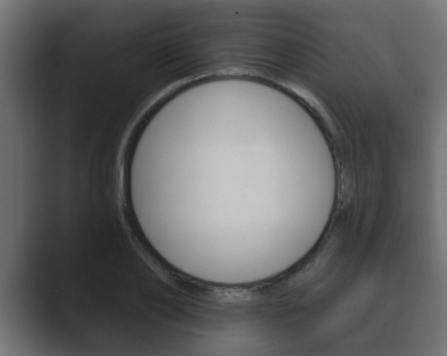 X0000089880886200706281048