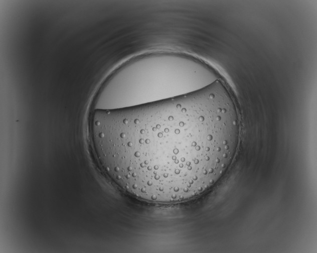X0000089880887200706281048