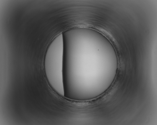 X0000089880889200706281048