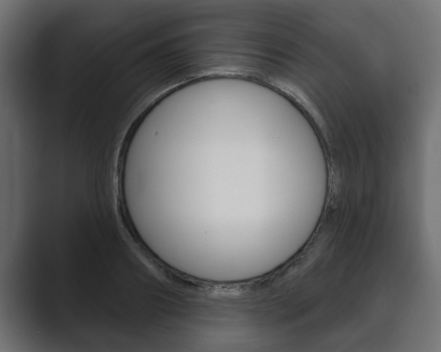 X0000089880890200706281048