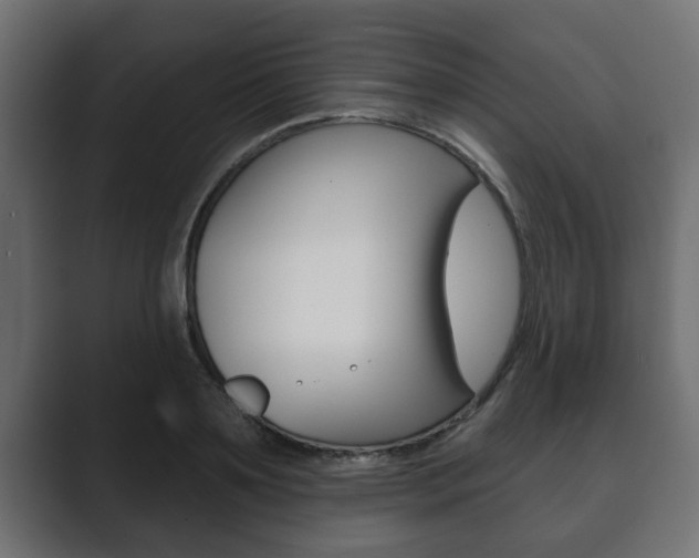 X0000089880891200706281048