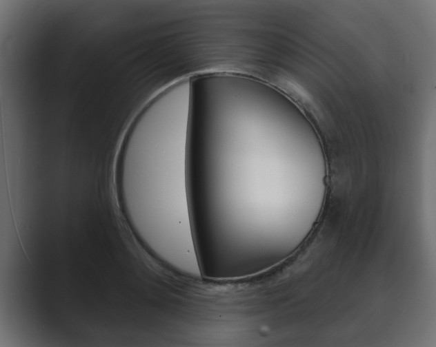 X0000089880892200706281048