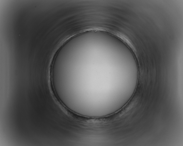 X0000089880898200706281048