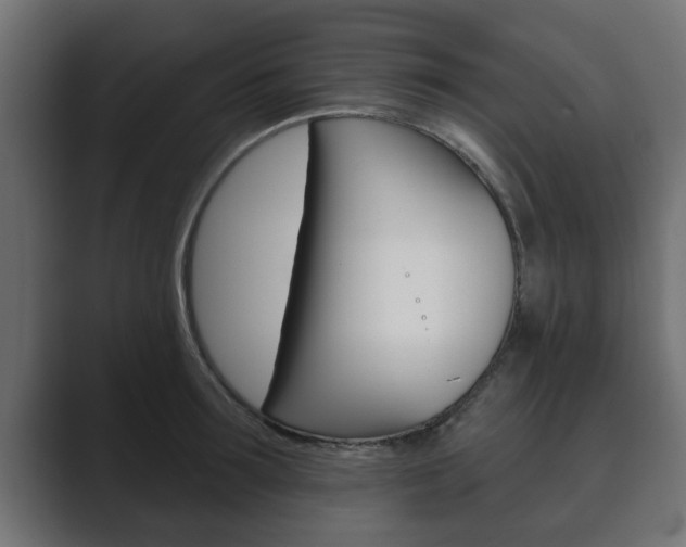 X0000089880899200706281048