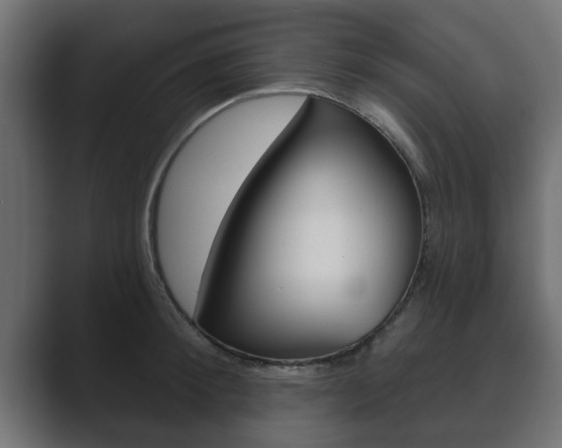 X0000089880900200706281048