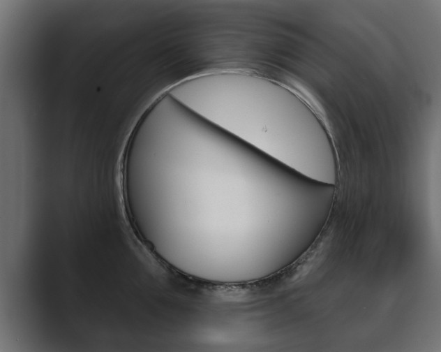 X0000089880907200706281048