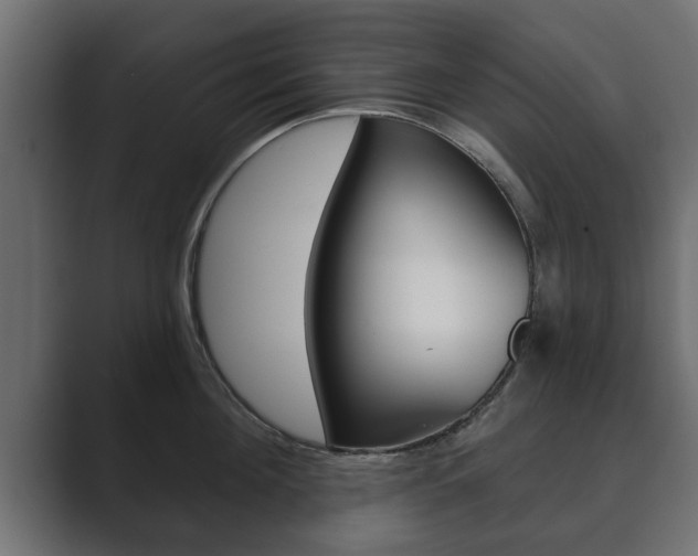 X0000089880908200706281048