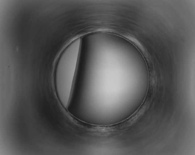 X0000089880910200706281048