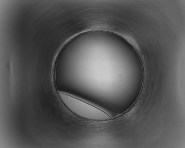 X0000089880912200706281047