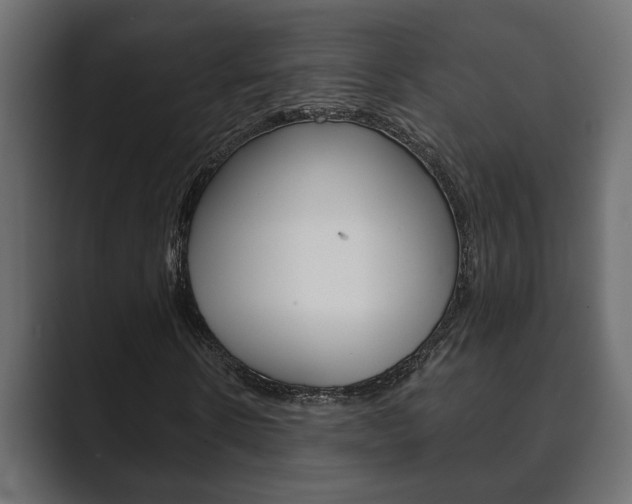X0000089880914200706281047