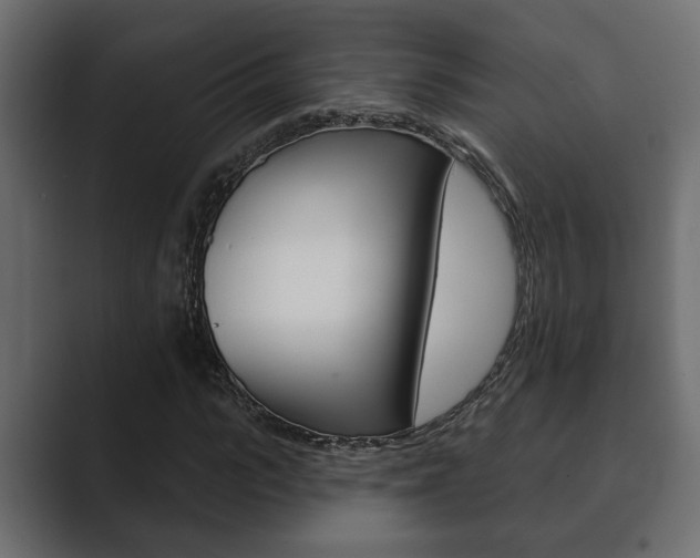 X0000089880919200706281047