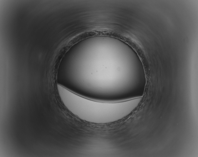X0000089880920200706281047