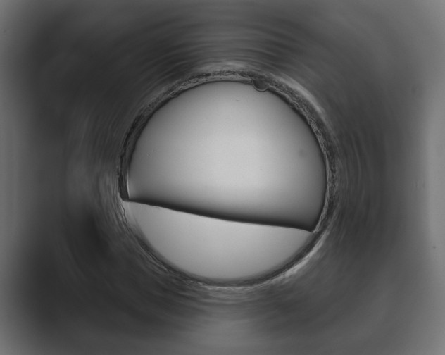 X0000089880921200706281047