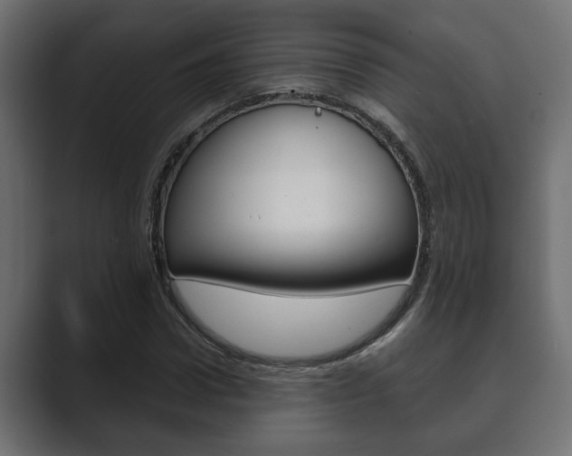 X0000089880922200706281047