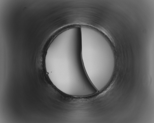X0000089880926200706281047