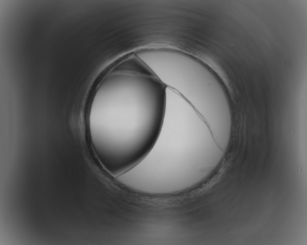 X0000089880936200706281047