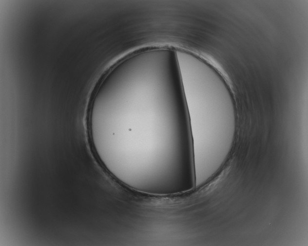 X0000089880943200706281047