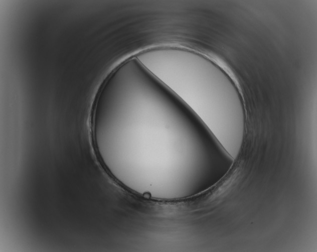 X0000089880951200706281047