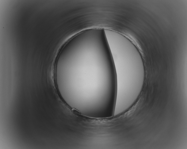 X0000089880952200706281047