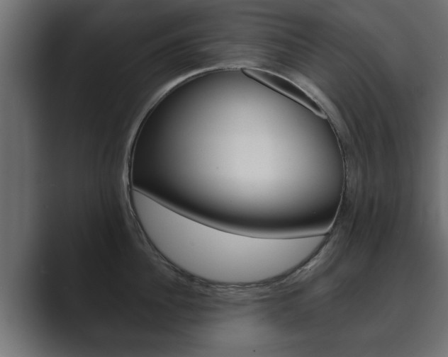 X0000089880956200706281047