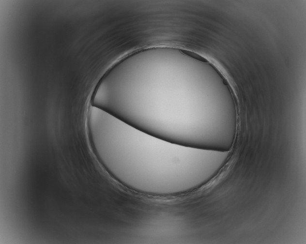 X0000089880957200706281047