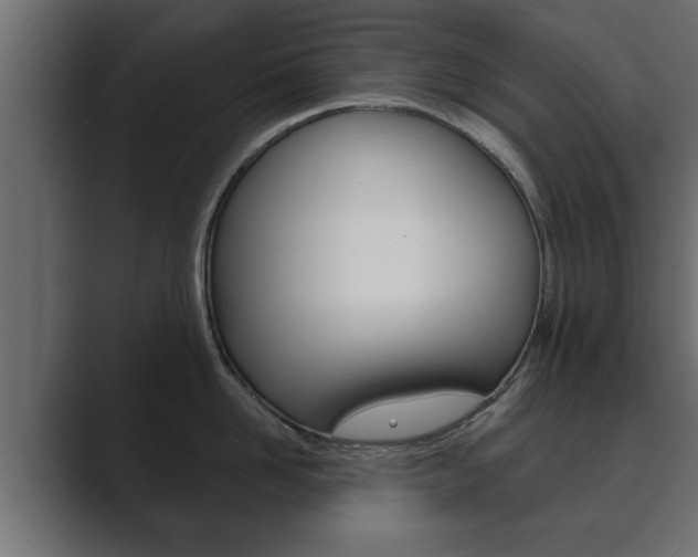 X0000089880958200706281047