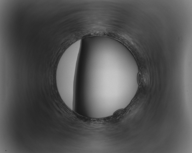 X0000089880964200706281047