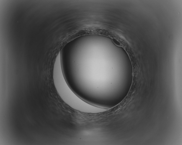 X0000089880965200706281047
