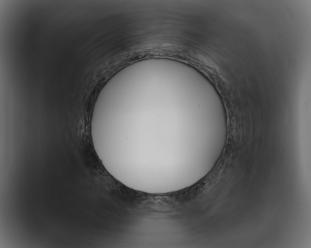 X0000089880966200706281047