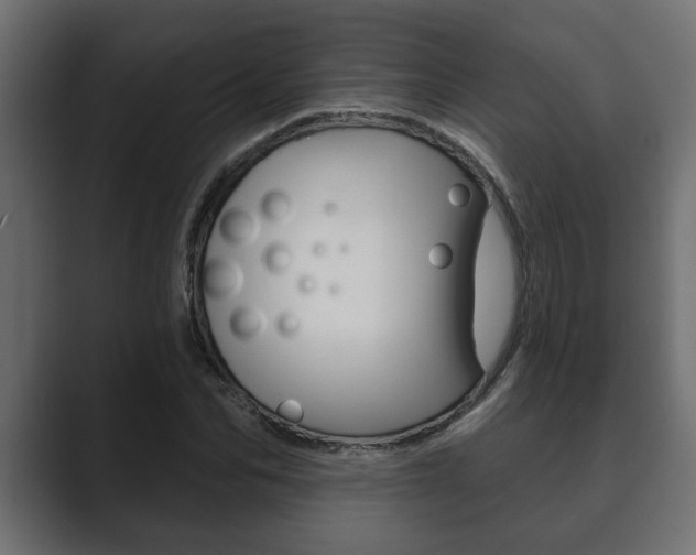 X0000089880974200706281047