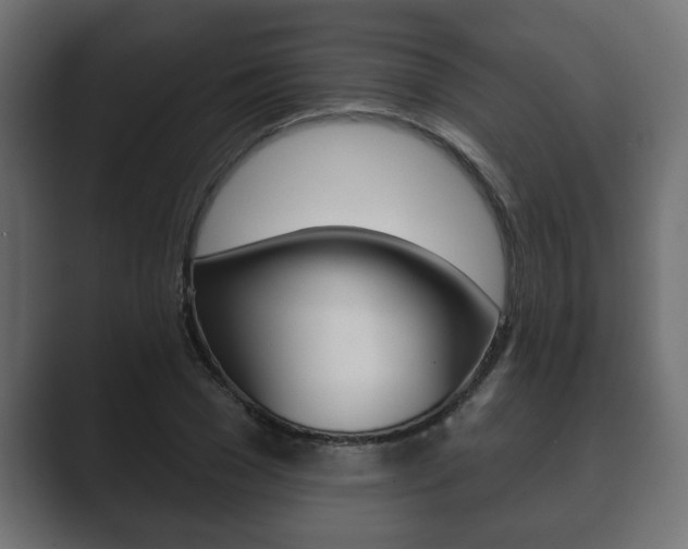 X0000089880977200706281047