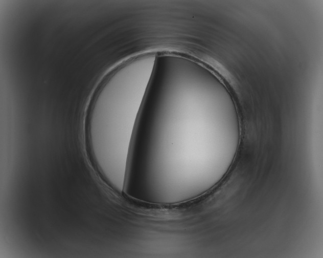X0000089880980200706281047