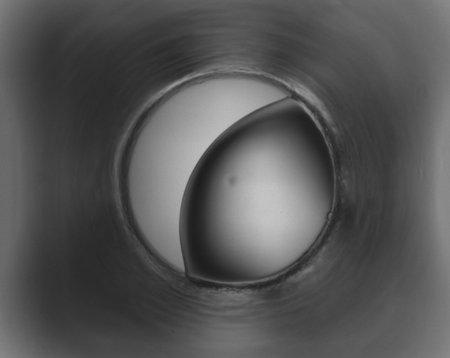 X0000089880981200706281047