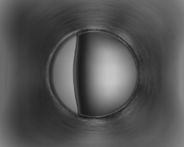 X0000089880984200706281047
