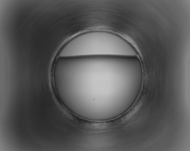 X0000089880989200706281046