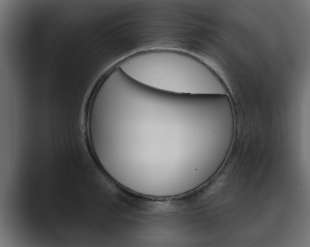 X0000089880990200706281046