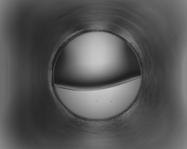 X0000089880992200706281046