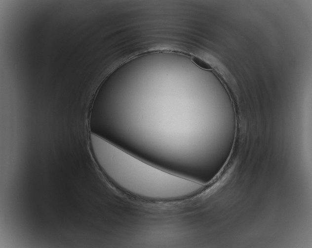 X0000089880993200706281046