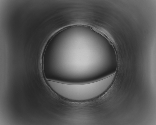 X0000089880996200706281046