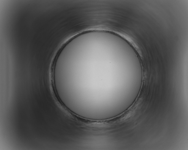 X0000089880998200706281046