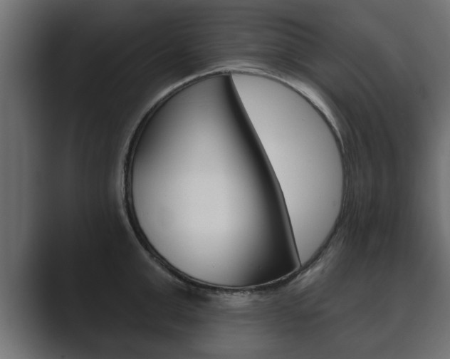 X0000089880999200706281046
