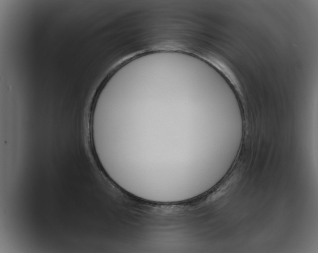 X0000089881000200706281046