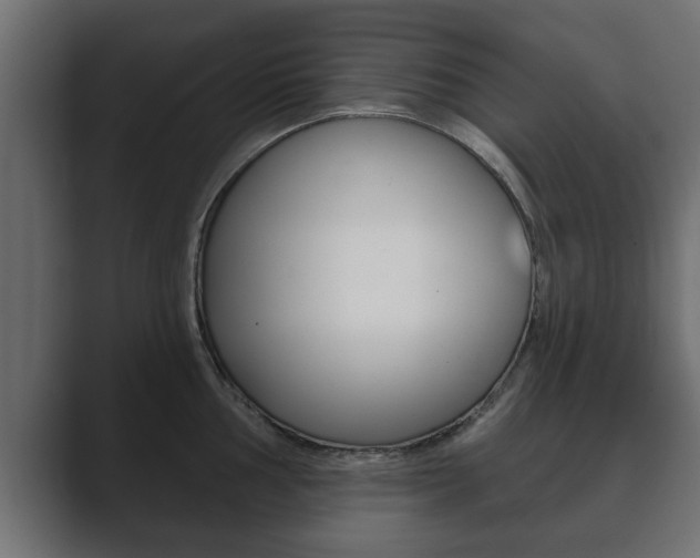 X0000089881002200706281046