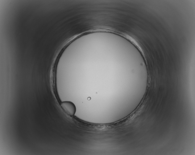 X0000089881003200706281046