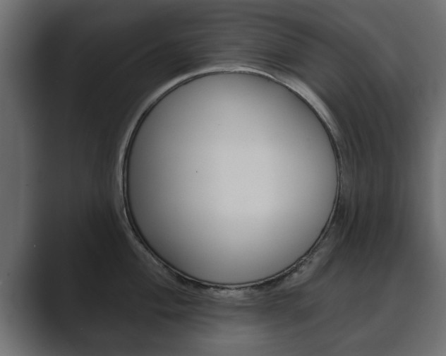 X0000089881004200706281046