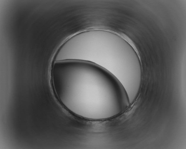 X0000089881005200706281046