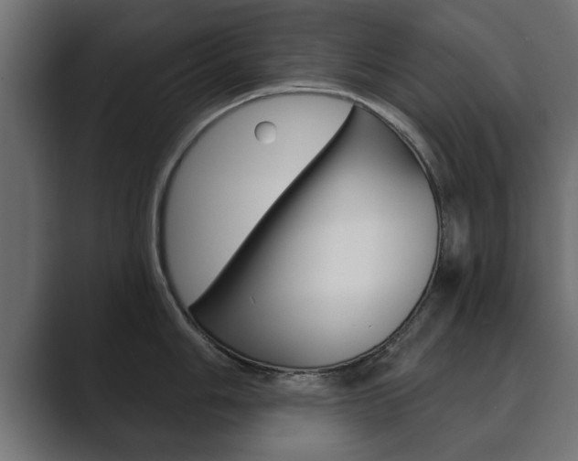 X0000089881006200706281046
