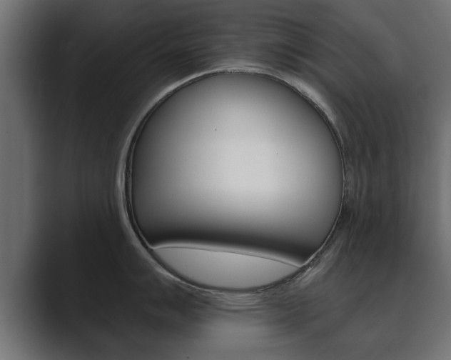 X0000089881007200706281046