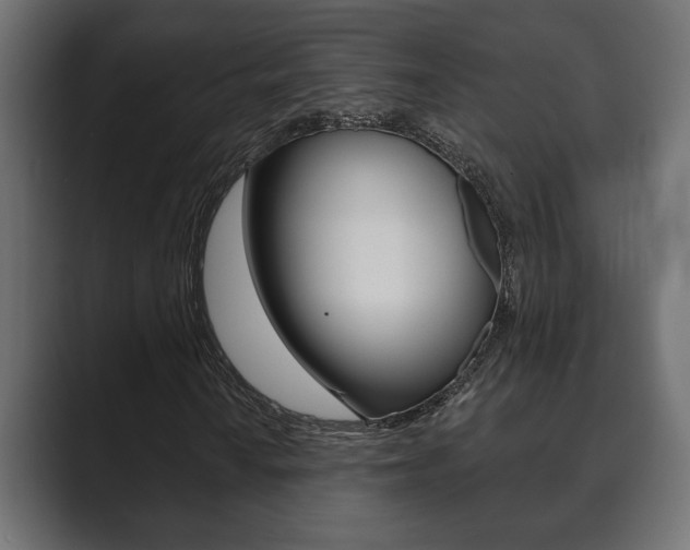 X0000089881010200706281046